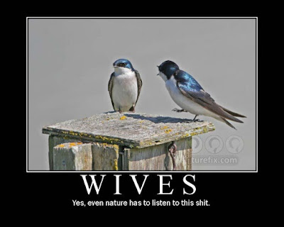 Wives, nature has to listen to, funny animal images