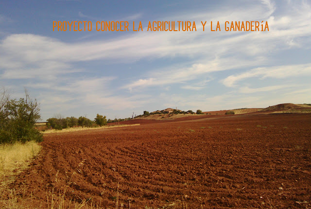 campo arado manchego con curvas