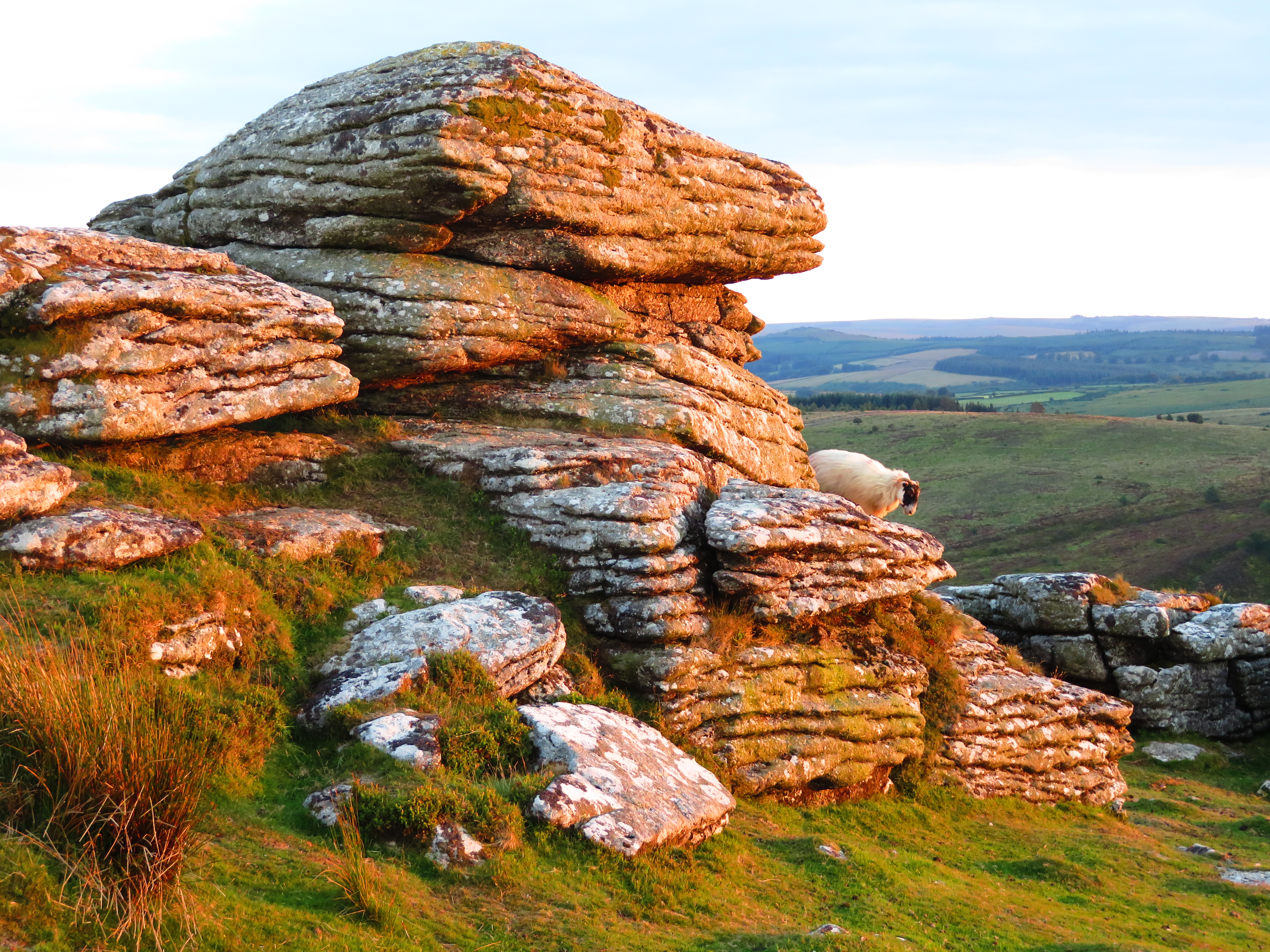 Max Piper Tor Bagger Dartmoor Tors & Rocks Map