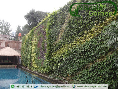 Tukang Taman Vertikal Pasuruan