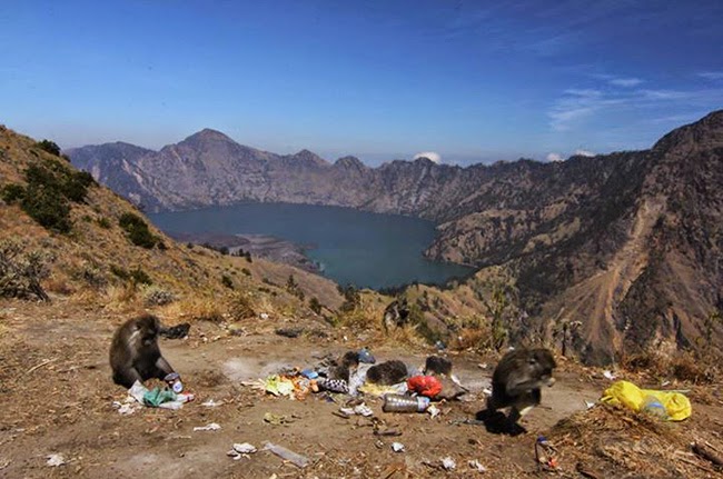 Rinjani dan Problematikanya