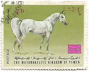 Selo Cavalo Árabe Branco