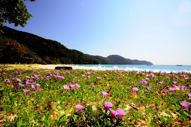 Mergui Princess Cruise 2017-2018 Flyer