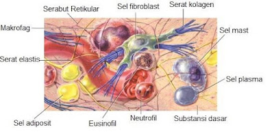 Iunsrbimjnptgm Iunsrbimjnptgm