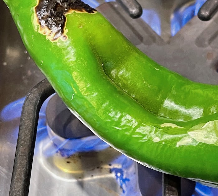 Chicken Blog Potpourri