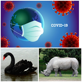 Sobre cisnes negros, rinocerontes grises y virus con corona