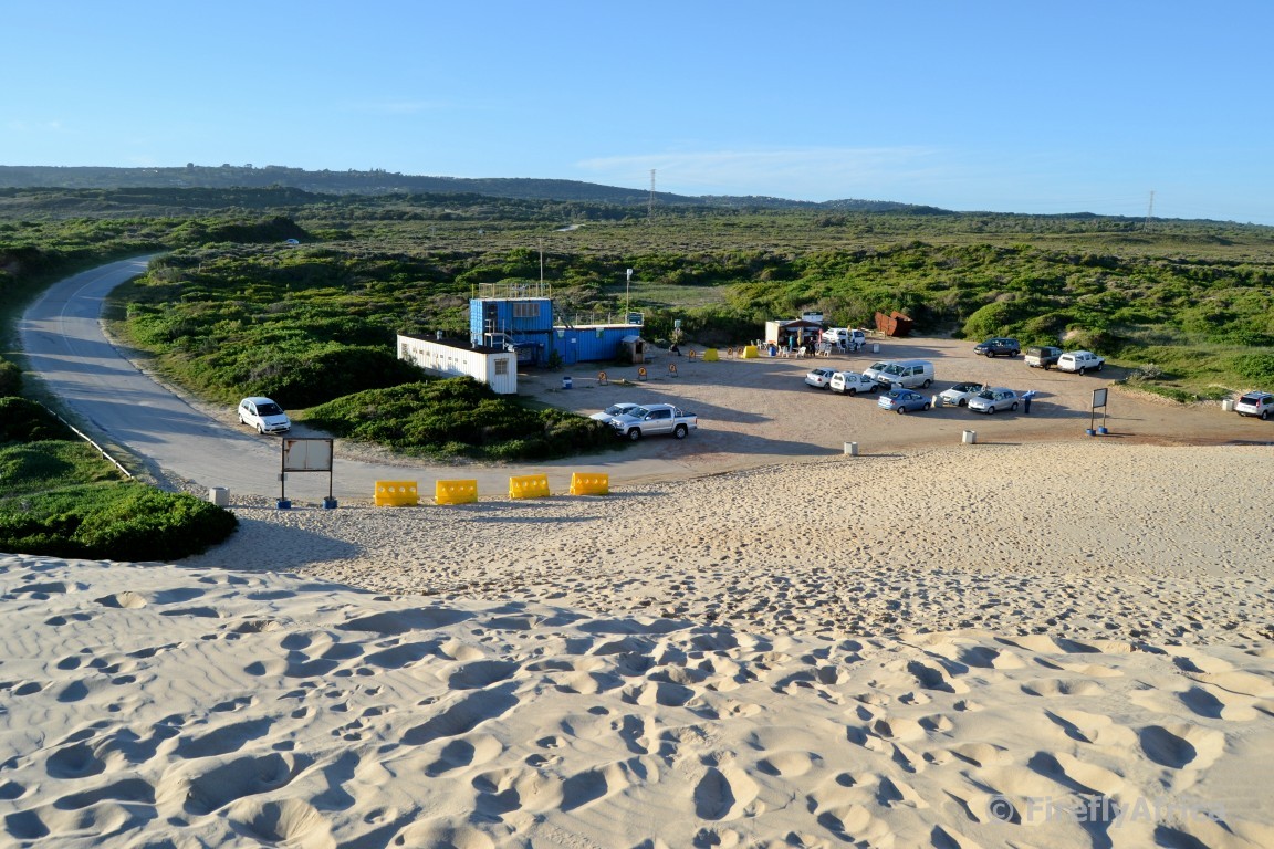 Port Elizabeth Daily Photo Sardinia Bay parking is getting smaller