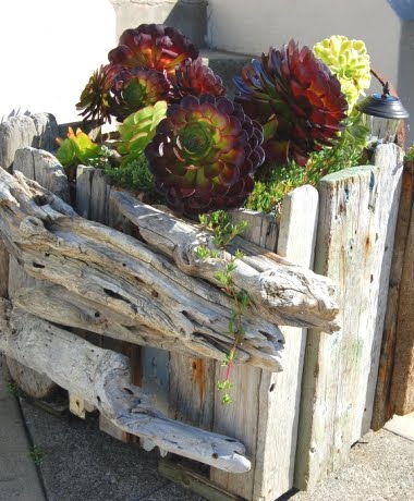 recycled drift wood garden planter 