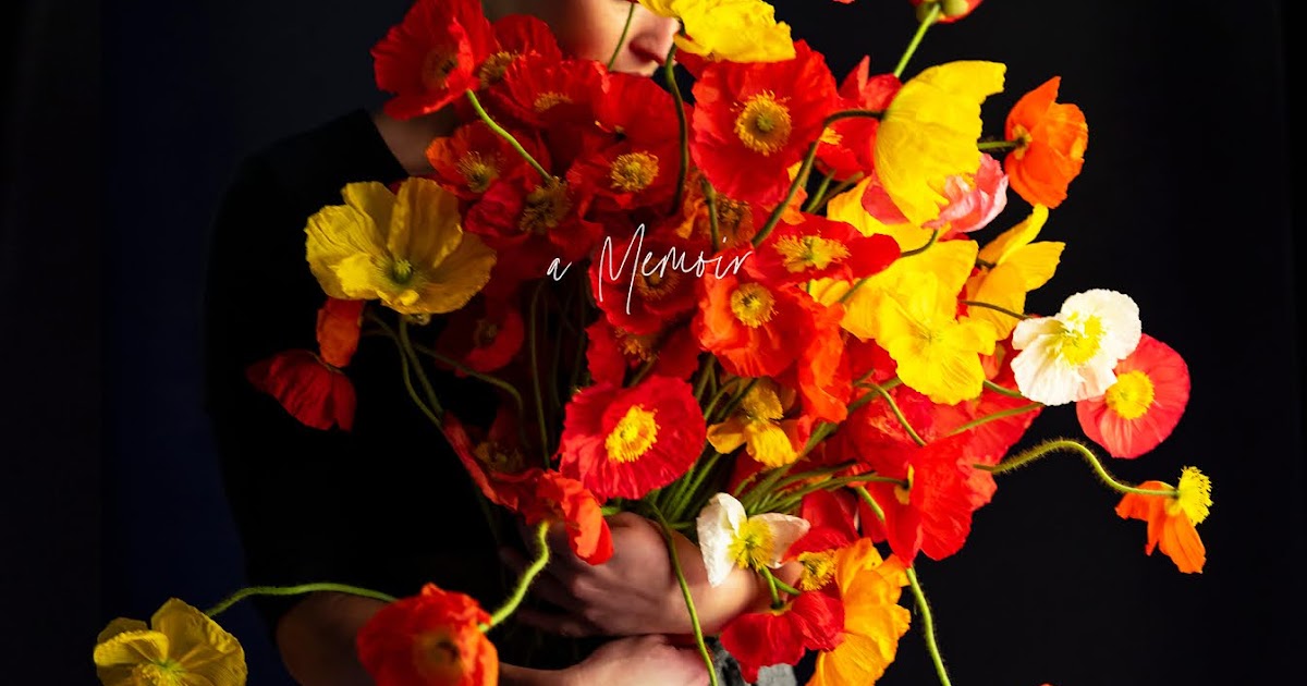 to The Secret Book Sleuth Book Review "Finding Freedom" By