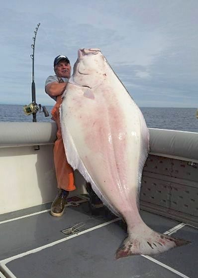 big+fish.jpg