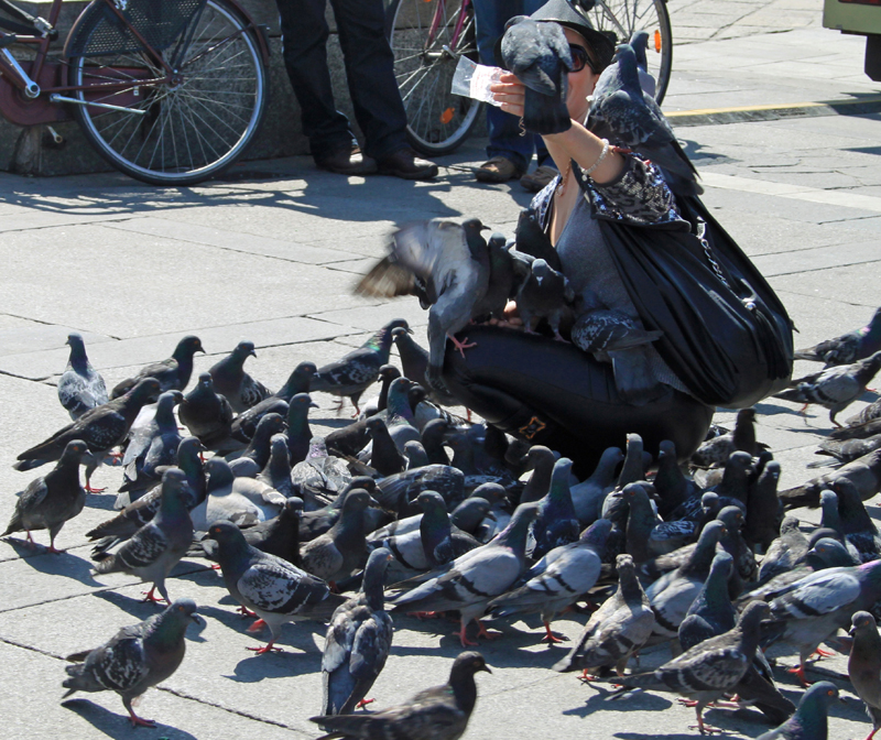 Piazza Duomo, Milan The World Belongs to the Pigeons Now