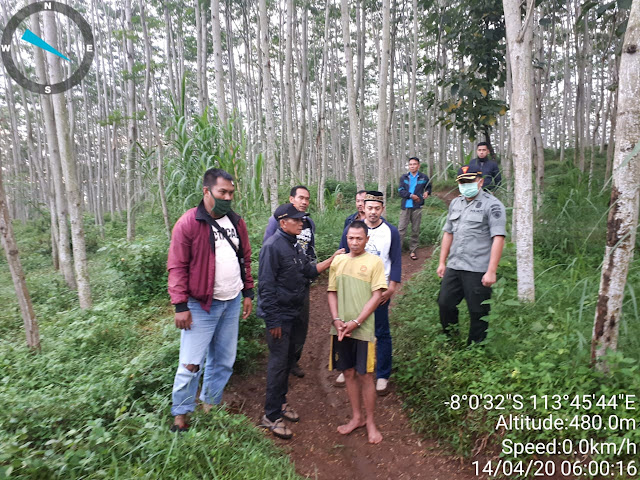 Patroli Gabungan Berhasil Amankan Pelaku Pembalakan Hutan Patroli Gabungan Berhasil Amankan Pelaku Pembalakan Hutan