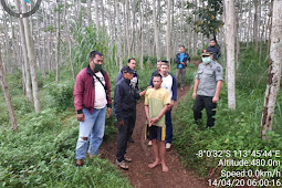  Patroli Gabungan Berhasil Amankan Pelaku Pembalakan Hutan 