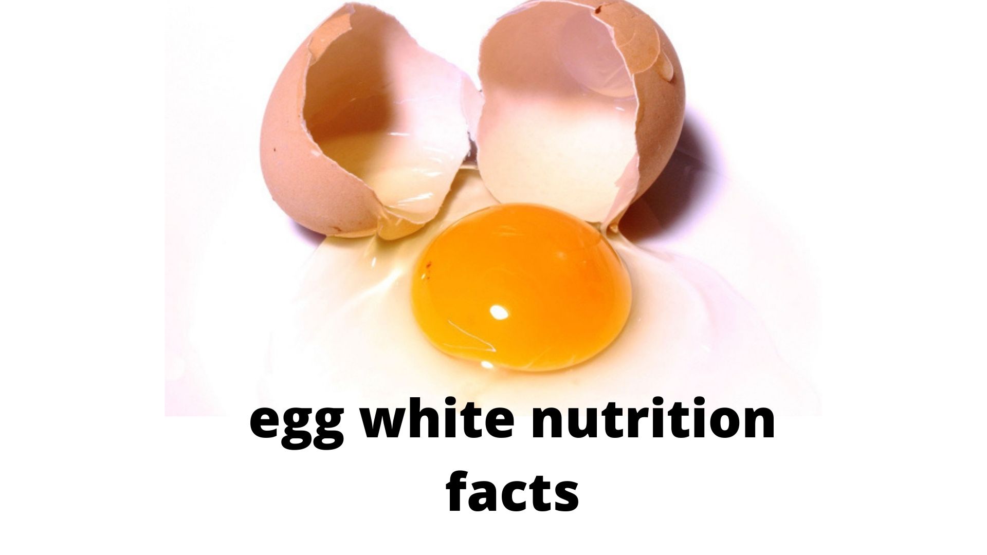 egg white nutrition facts 3 egg white protein best for all must be read it