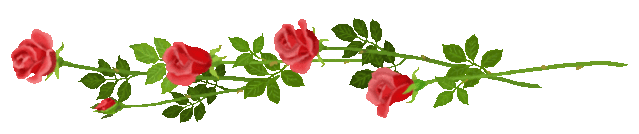 Flower Png Flower Png