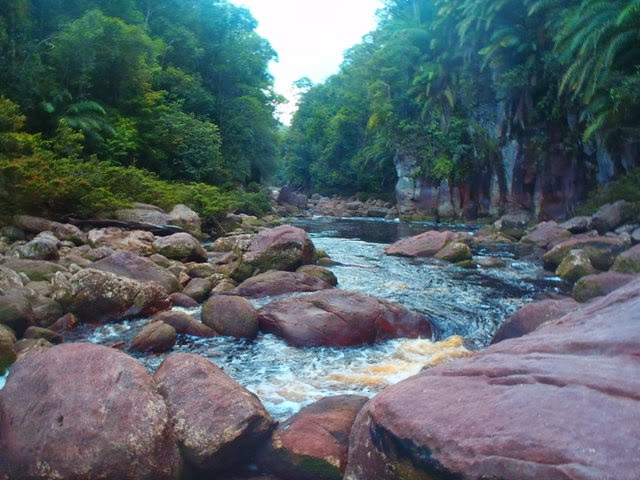 Keindahan sungai pedalaman Kalimantan Barat ~ Water Resources and Human