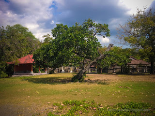 Natural Beach Front Yard Of Balinese Hindu Temple Old Shade Tree On A Sunny Day At The Village North Bali Indonesia