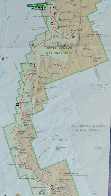 Viaje con tienda de campaña por el Oeste Americano - Blogs de USA - Bryce National Park, caminando entre Hoodoos (24)