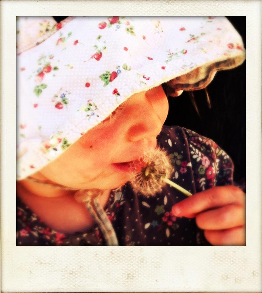 Pickles and Ice Cream Birth Support Services