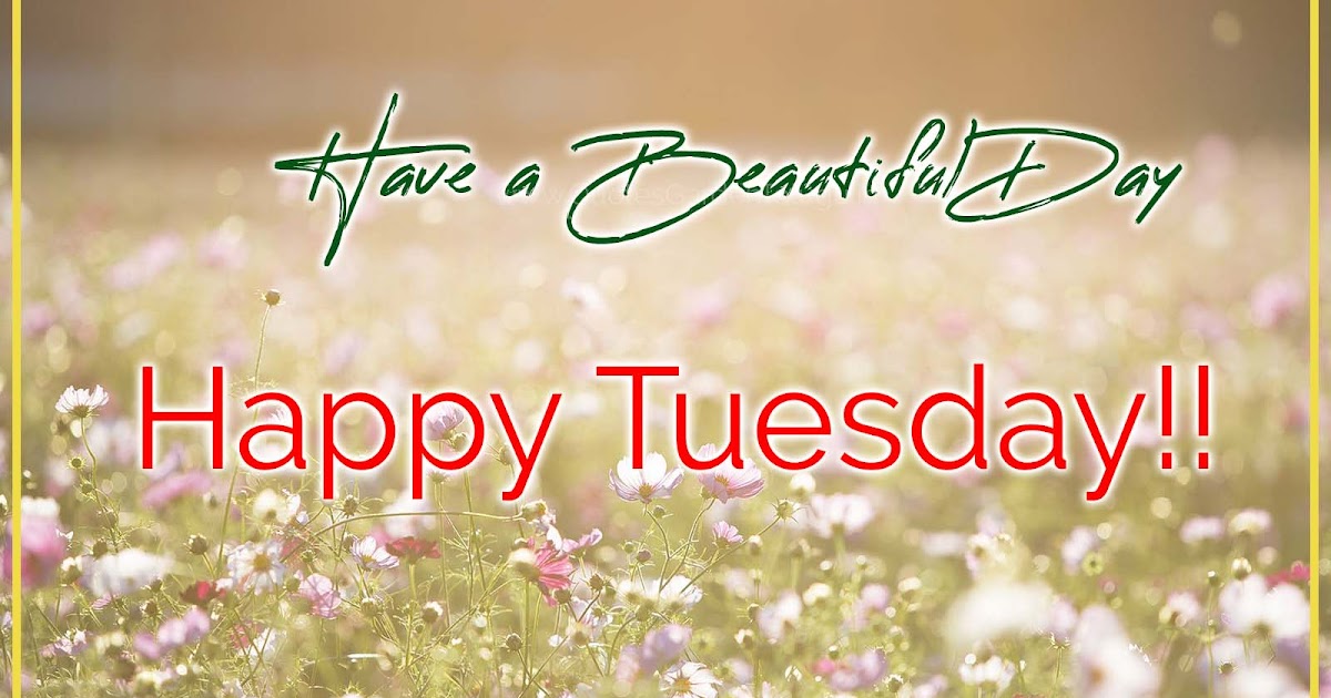 happy tuesday messages Daily beautiful quotations with beautiful