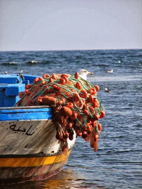 non sei tu il mare ?