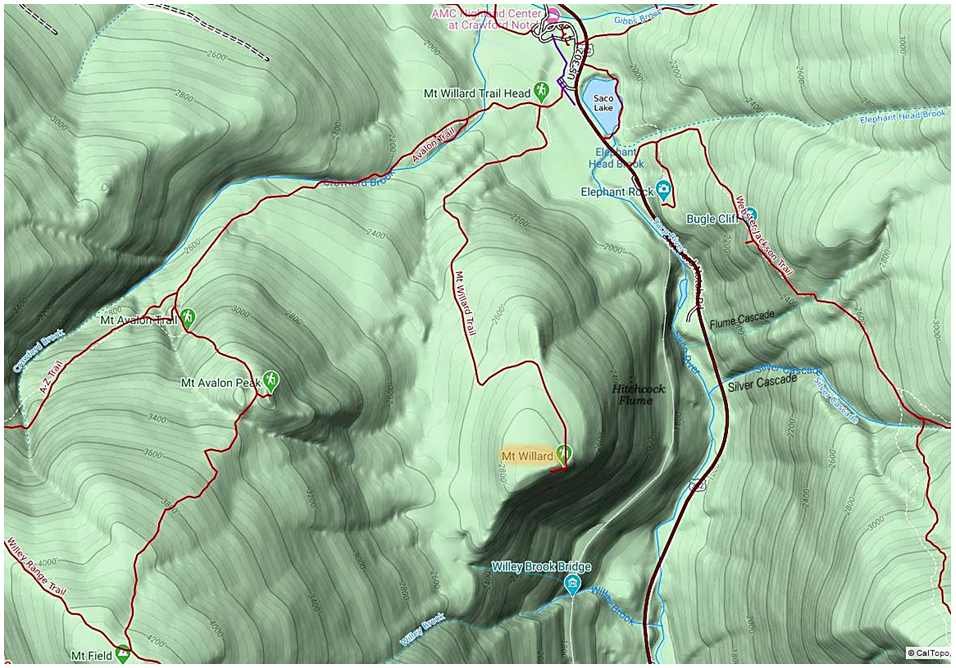 1HappyHiker: Mt. Willard Wanderings