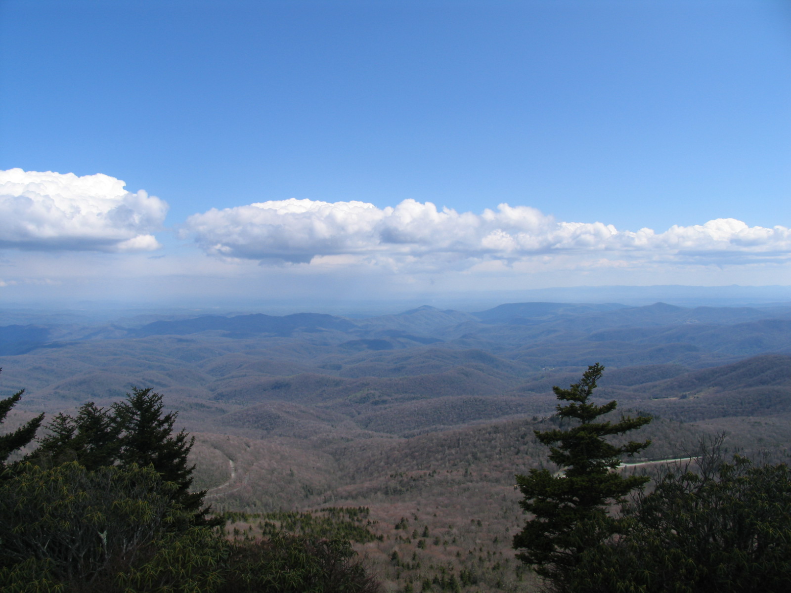 Grandfather Mountain