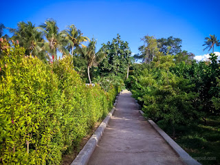 Natural View Of Wide Garden With The Pathway Through Plants And Treess At The Village Tangguwisia North Bali Indonesia
