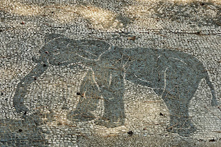 Kuzey Afrika fili; Romada mozaik. Ostia Antica, Italya