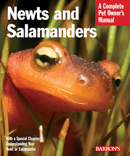 Newts and Salamanders by Frank Indiviglio