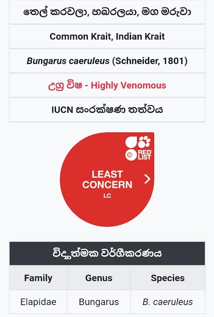 මගමරුවා - තෙල් කරවලයා 😍🐍 (Thel Karawalaya) - Your Choice Way