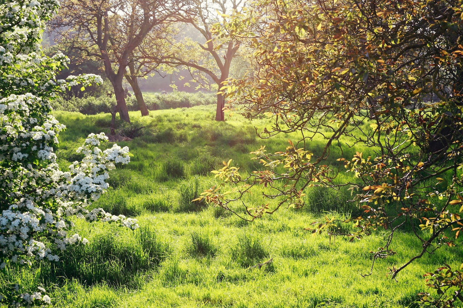 HeArtgallery spring on its top!