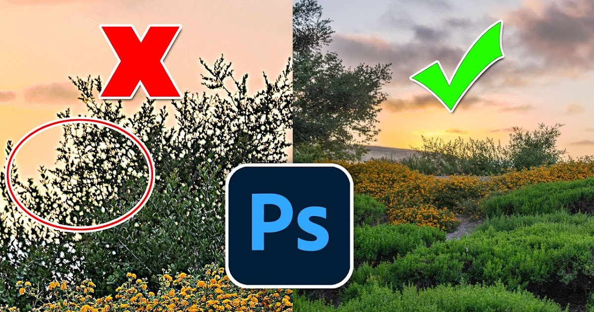 Hidden trick to perfectly sharpen photos in Photography
