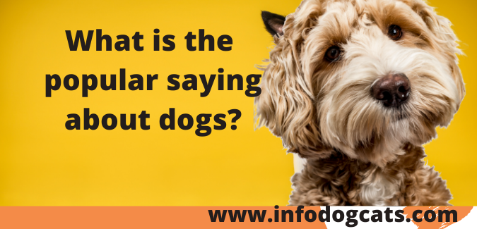 What is the popular saying about dogs?