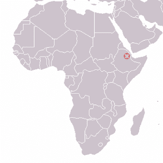 Homo sapiens idaltu fosilinin bulunduğu Etyopyanın Herto bölgesindeki konumunun haritası