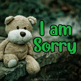 i am sorry images with teddy bear download