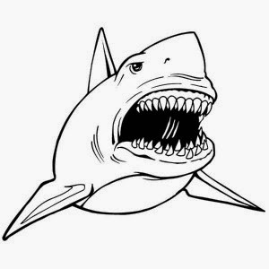 shark coloring pages coloring.filminspector.com