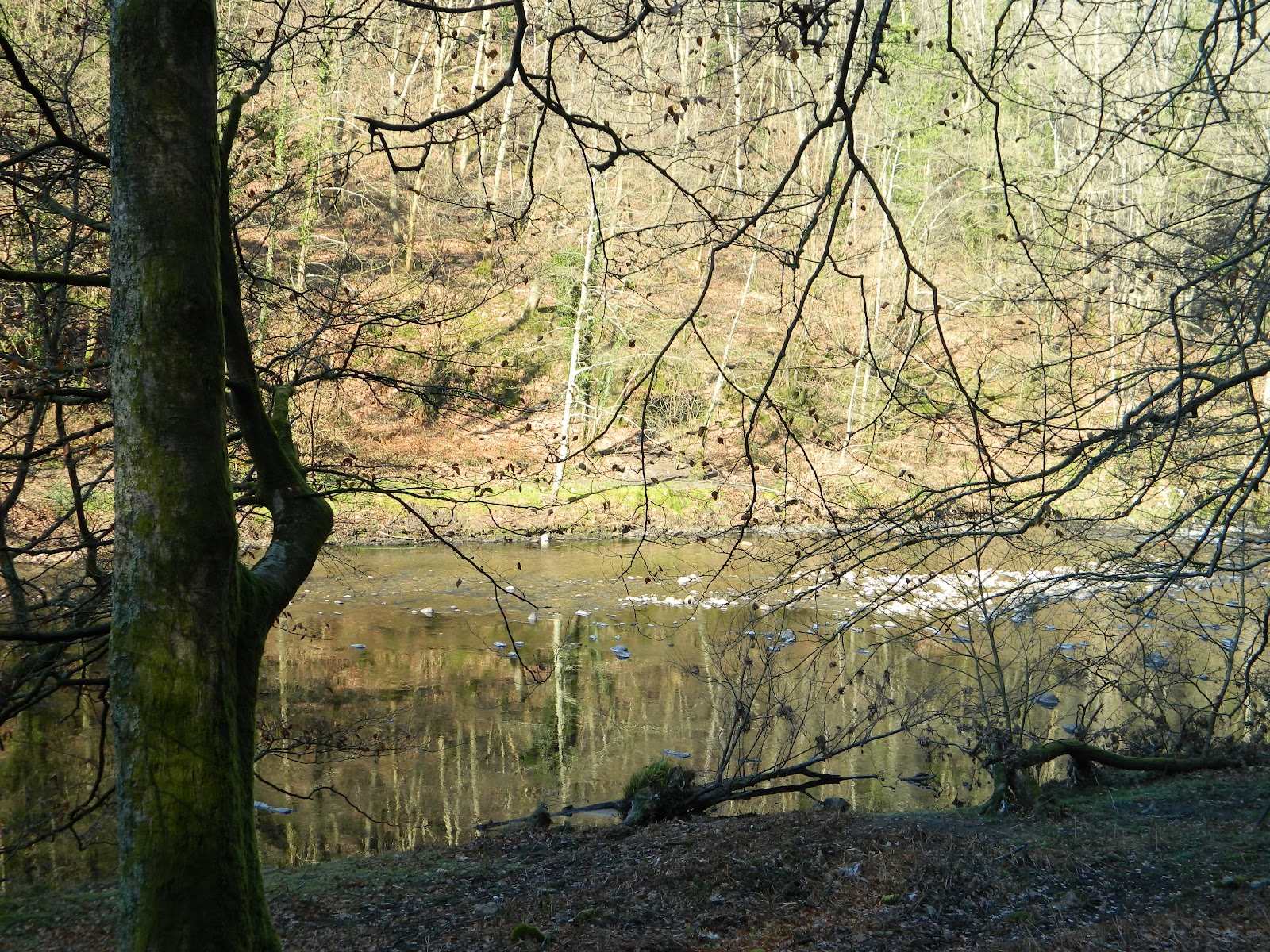 MENDIEN ARTEAN CIRCULAR POR URDABURU