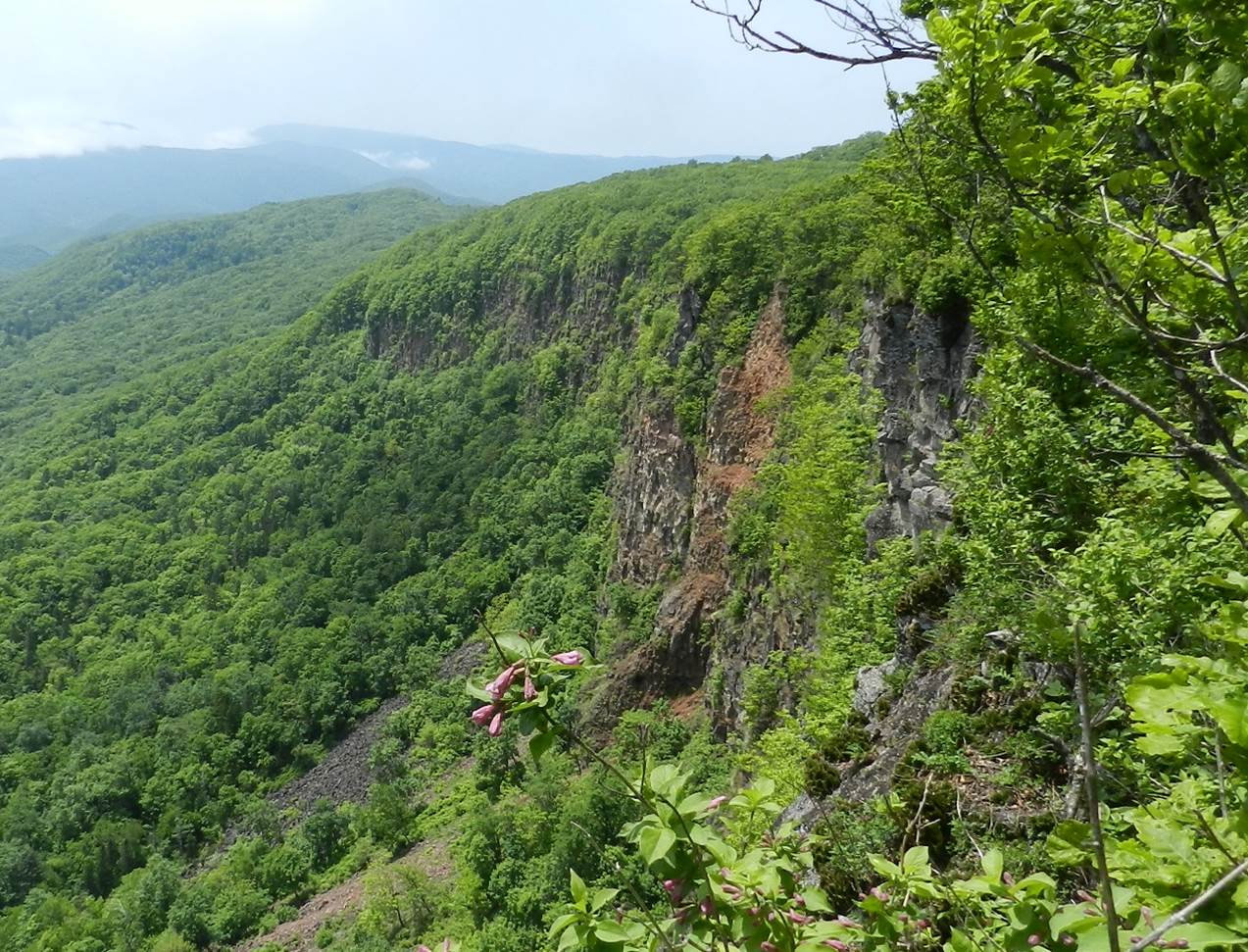 Парки приморского края Парки приморского края