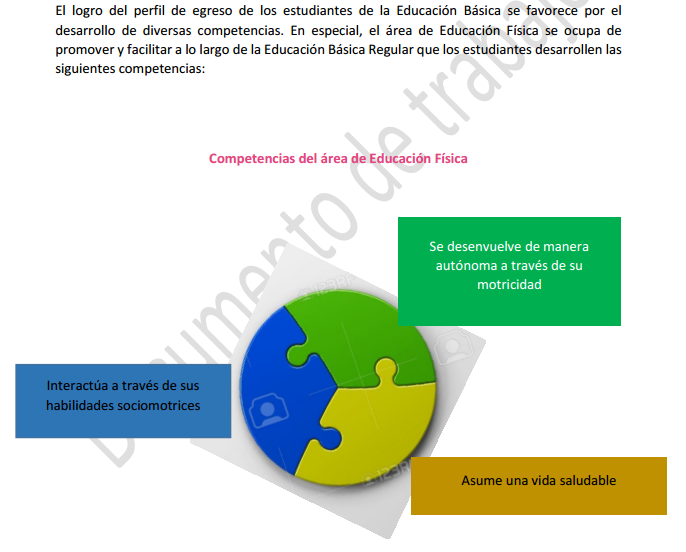 TRES COMPETENCIAS EN EDUCACIÓN FÍSICA ACTUAL