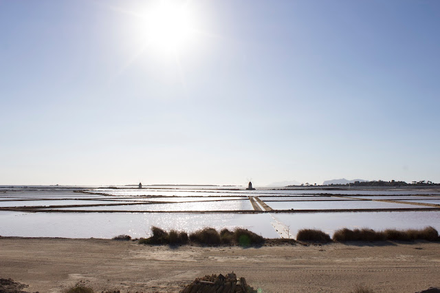 saline di marsala dello stagnone