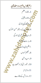essay for 10th class with quotations in urdu