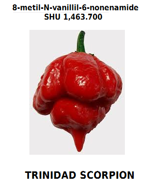 Le Ricette Asociali sostengono e usano lo Scorpione di Trinidad!