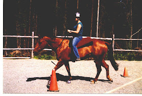 Bre "Treat Me Gentle" , 1998 AQHA Mare