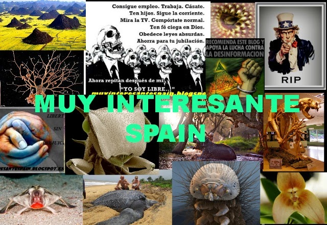 MUY INTERESANTE SPAIN
