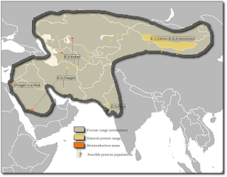 Asya yaban eşeği dağılım haritası