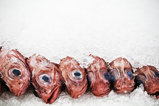 Η αξία των ψαριών