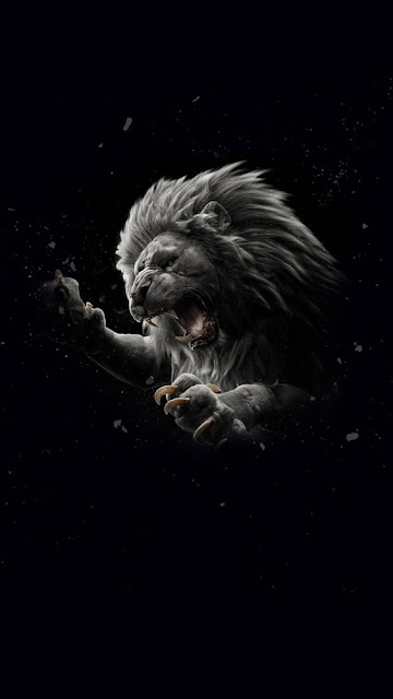 صور, صور الأسد, black and white, drawing, خلفيات اسد, hd اجمل اسد, اجمل الصور اسود,اجمل الصور للاسود,خلفيات اسد رسم صور فنانين