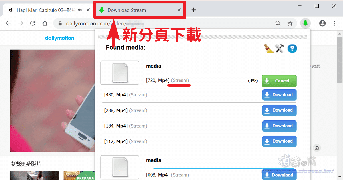 Stream Video Downloader 網路串流影片 m3u8、FLV 下載器 (擴充功能)