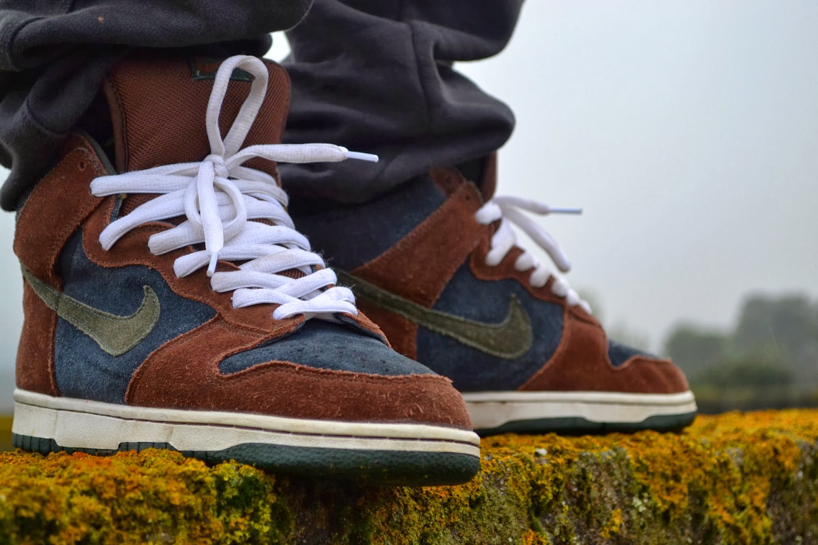nike dunk buck